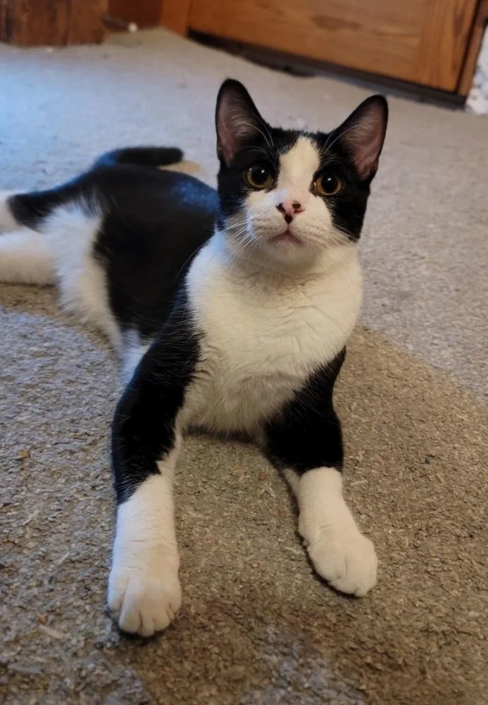 Riff Raff thumbnail 3