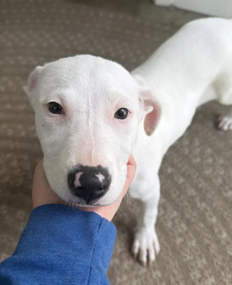 Betty White thumbnail 3