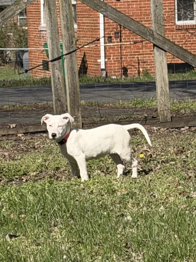 Betty White thumbnail 5