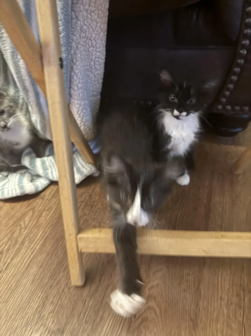 Kissy Face thumbnail 2