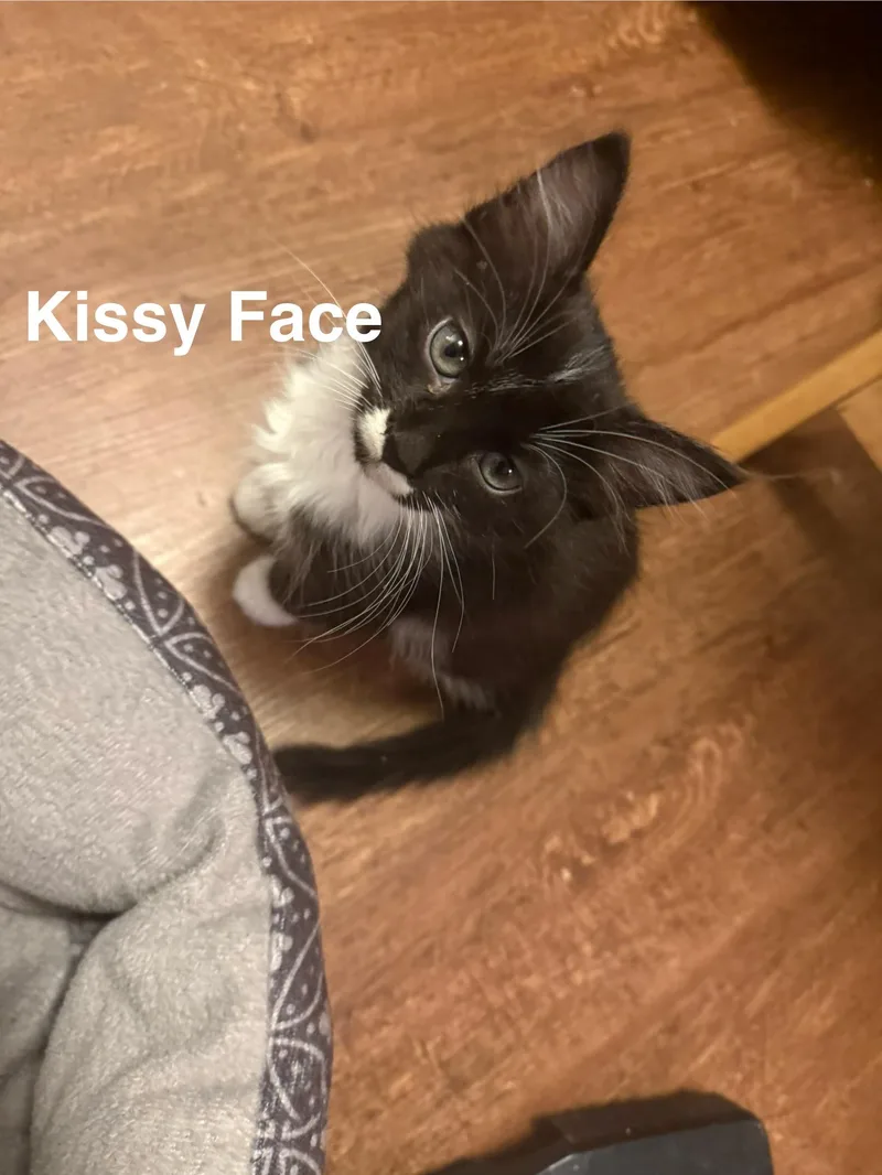 Kissy Face thumbnail 3