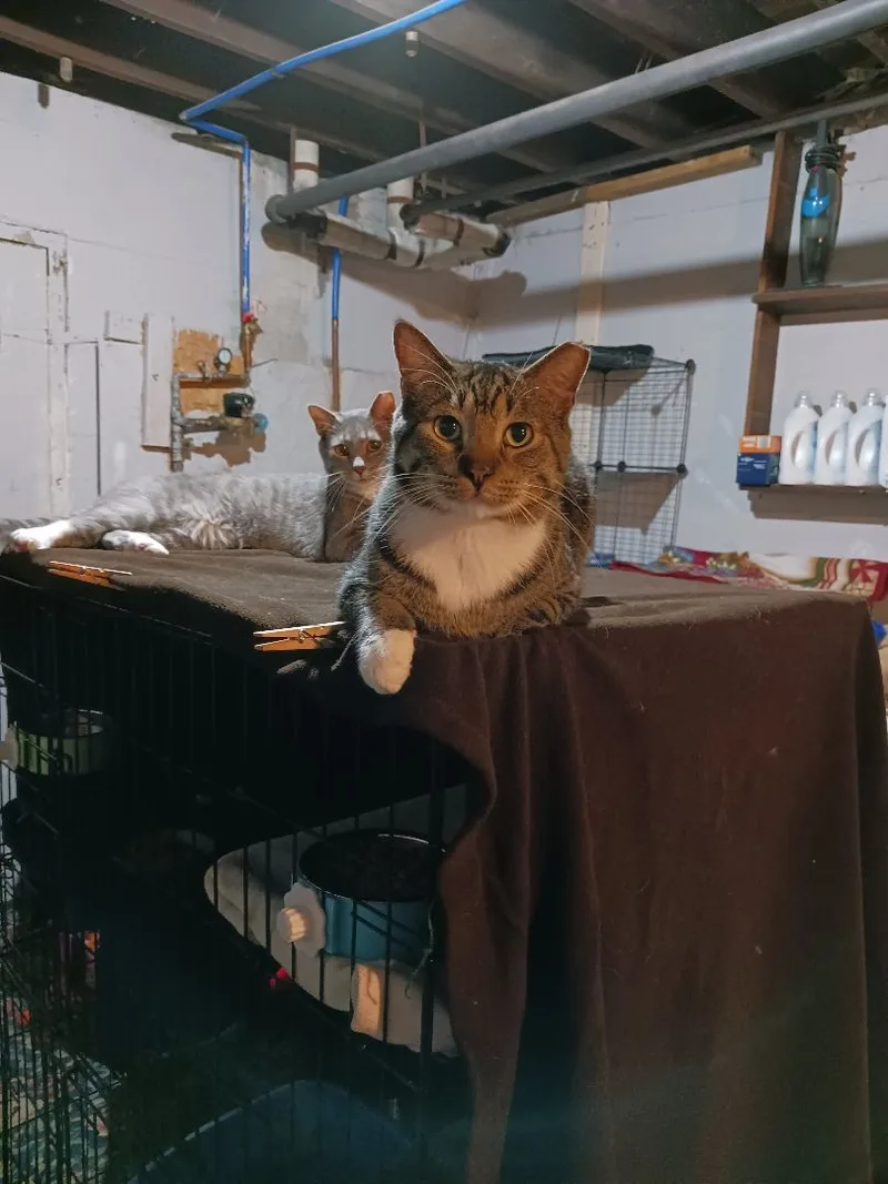 Starsky & Hutch thumbnail 3