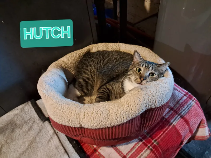 Starsky & Hutch thumbnail 5