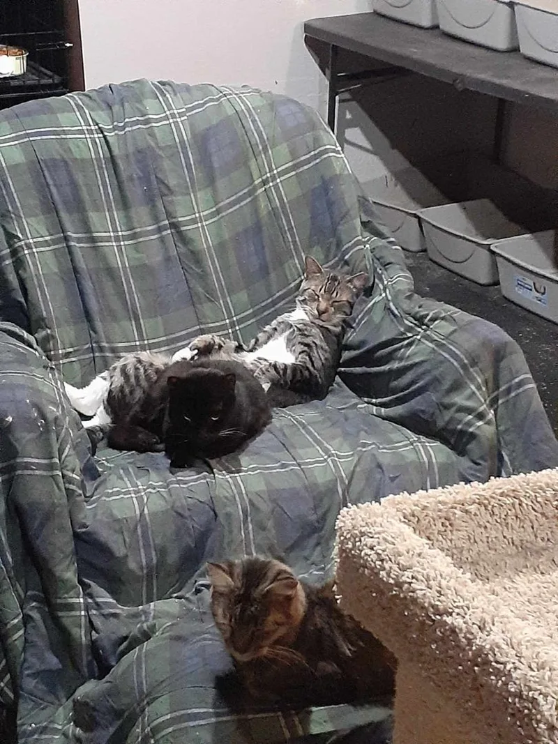 Starsky & Hutch thumbnail 6