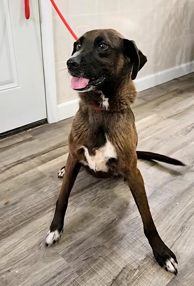 Ellie & Ivan thumbnail 2