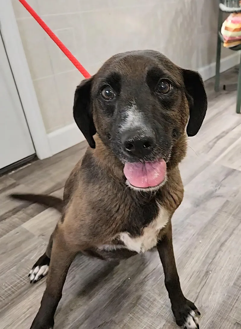 Ellie & Ivan thumbnail 3