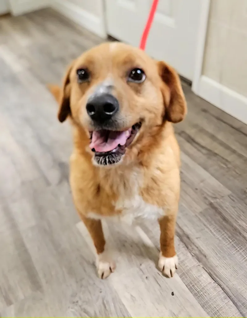 Ellie & Ivan thumbnail 4