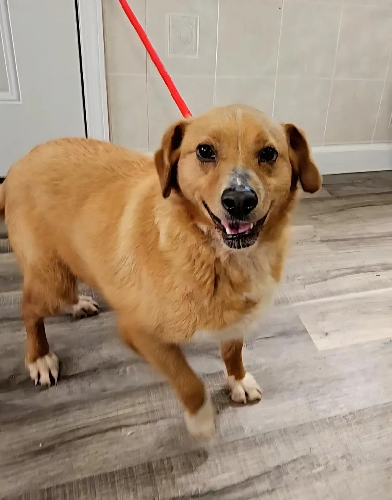 Ellie & Ivan thumbnail 5