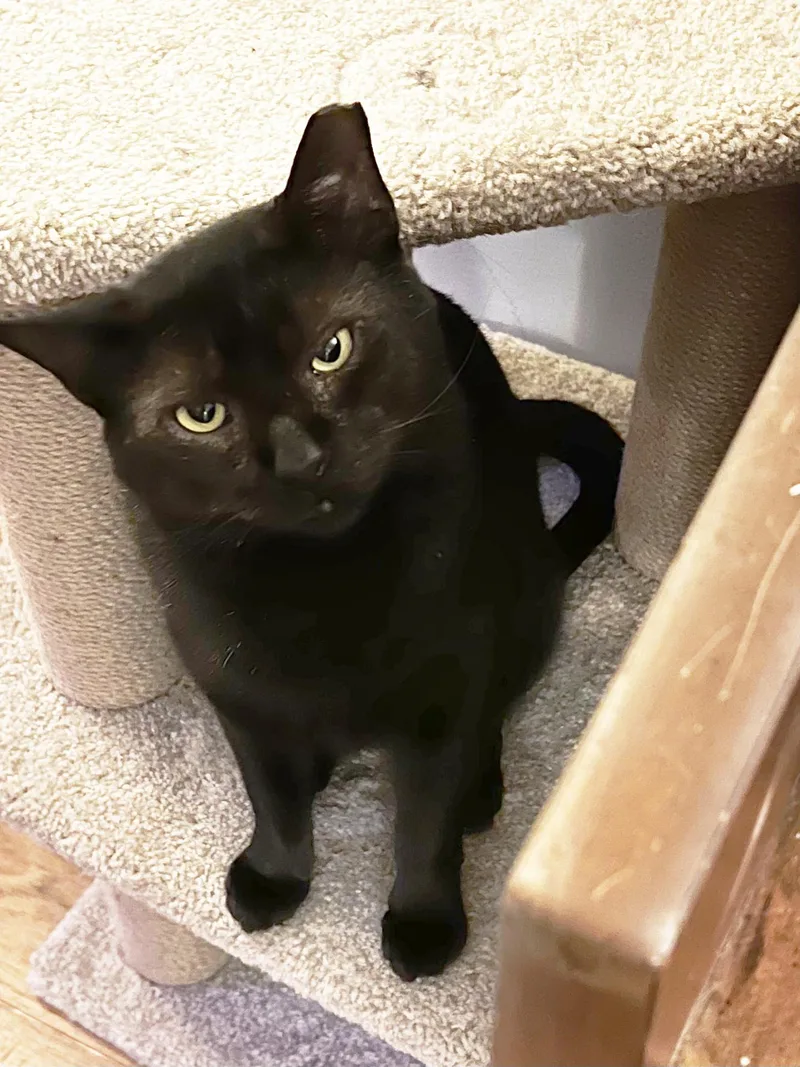 Grant Ruby thumbnail 2