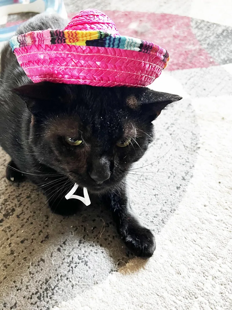 Grant Ruby thumbnail 3