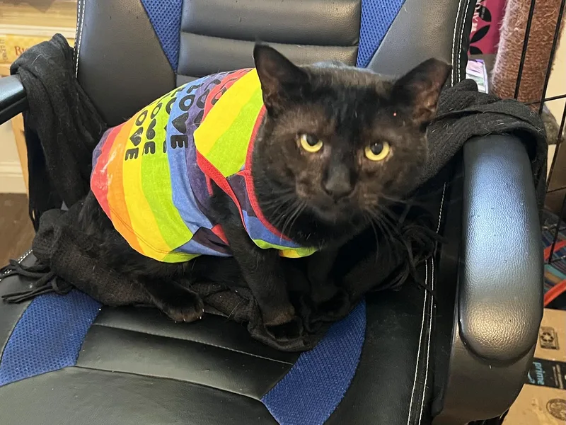 Grant Ruby thumbnail 5