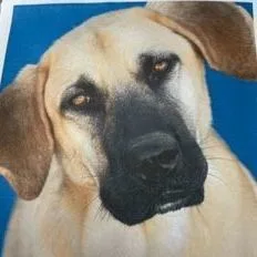 Sergeant Jagger Aka "jagger"