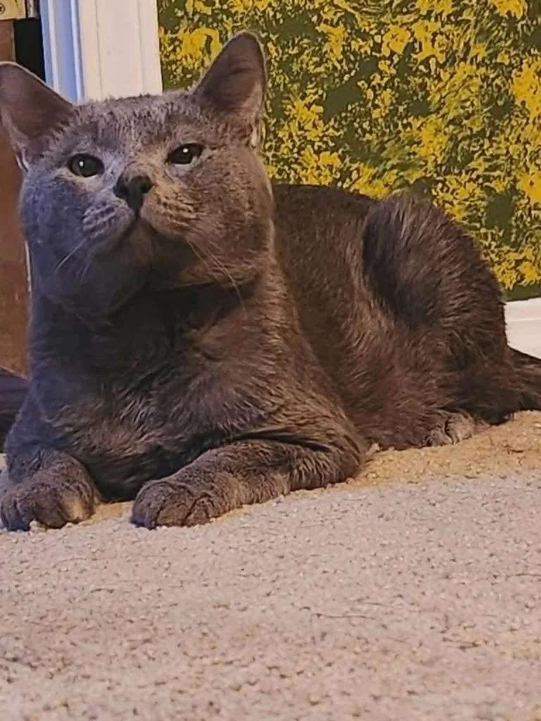 Thomas