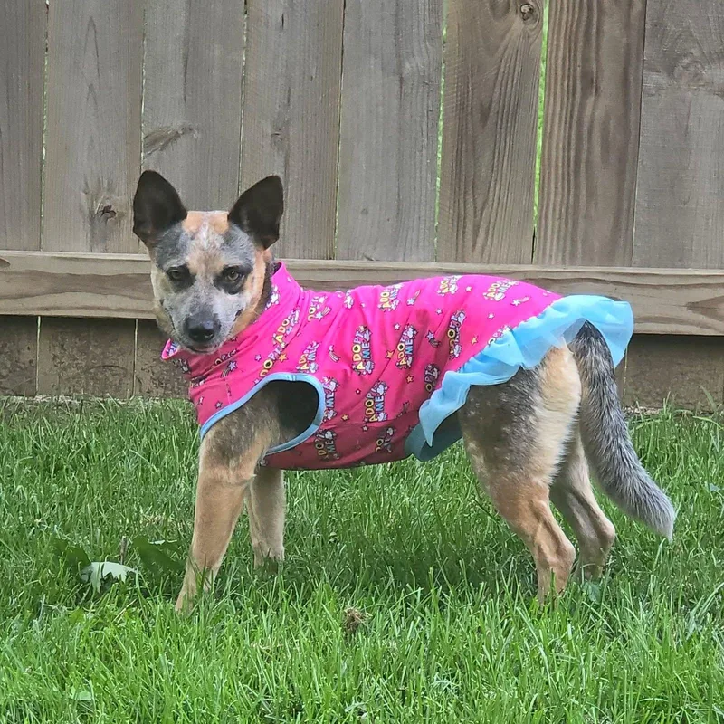 Bindi thumbnail 3