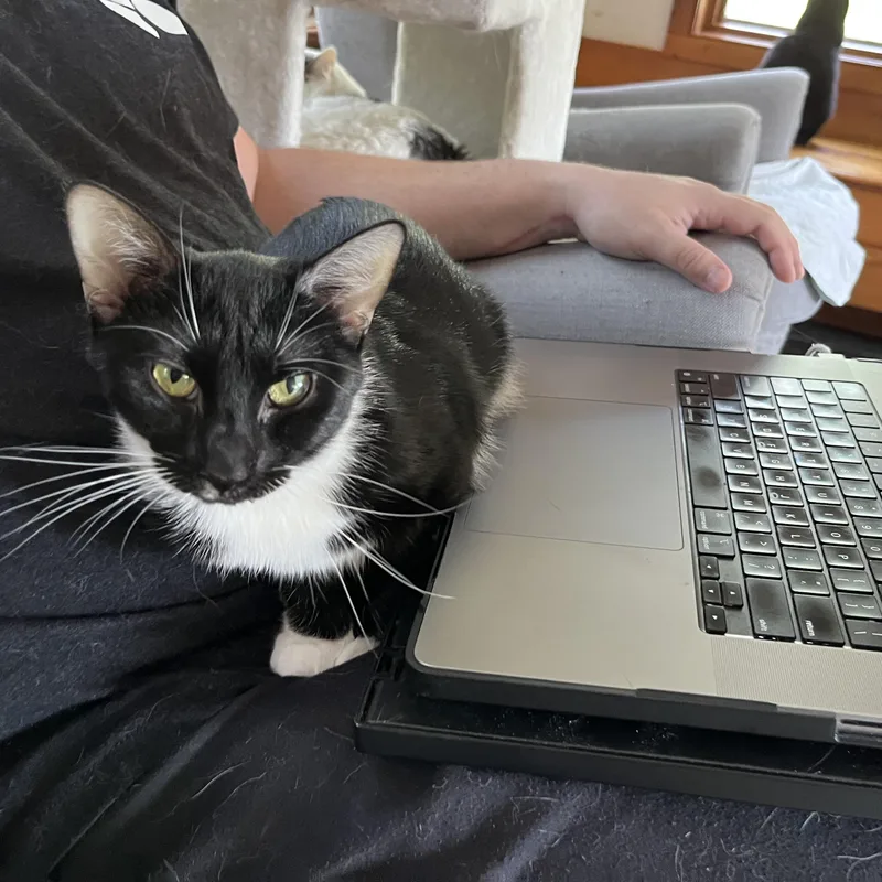 Quinlyn Little Lovebug