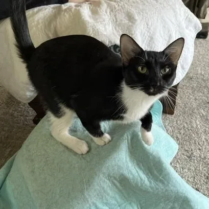 Quinlyn  Little Lovebug thumbnail 2