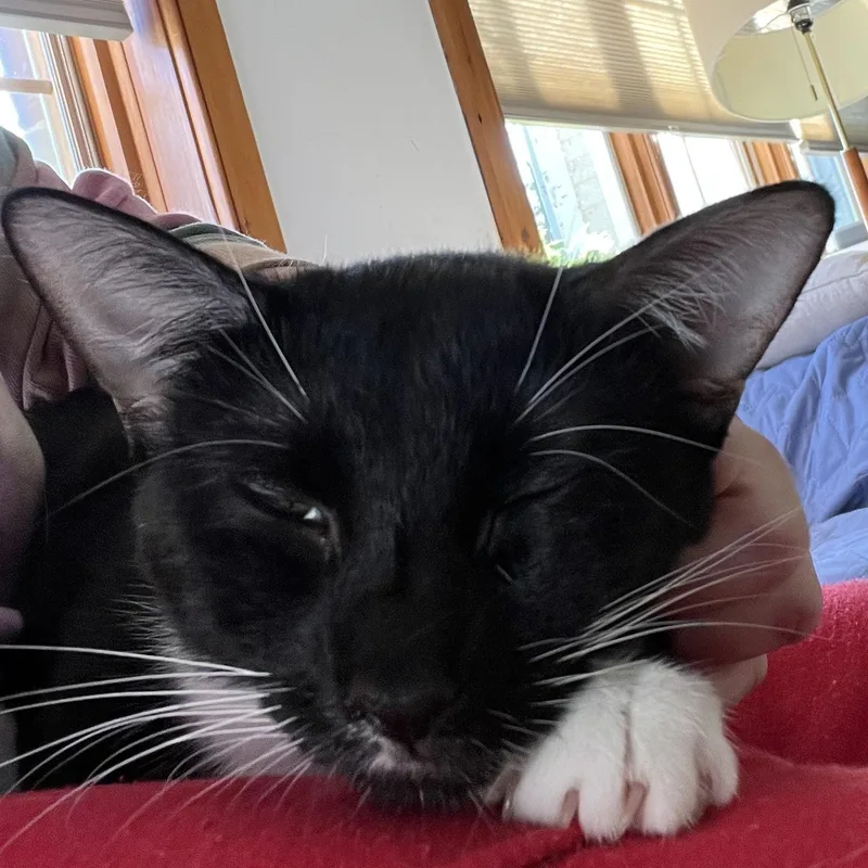 Quinlyn  Little Lovebug thumbnail 3