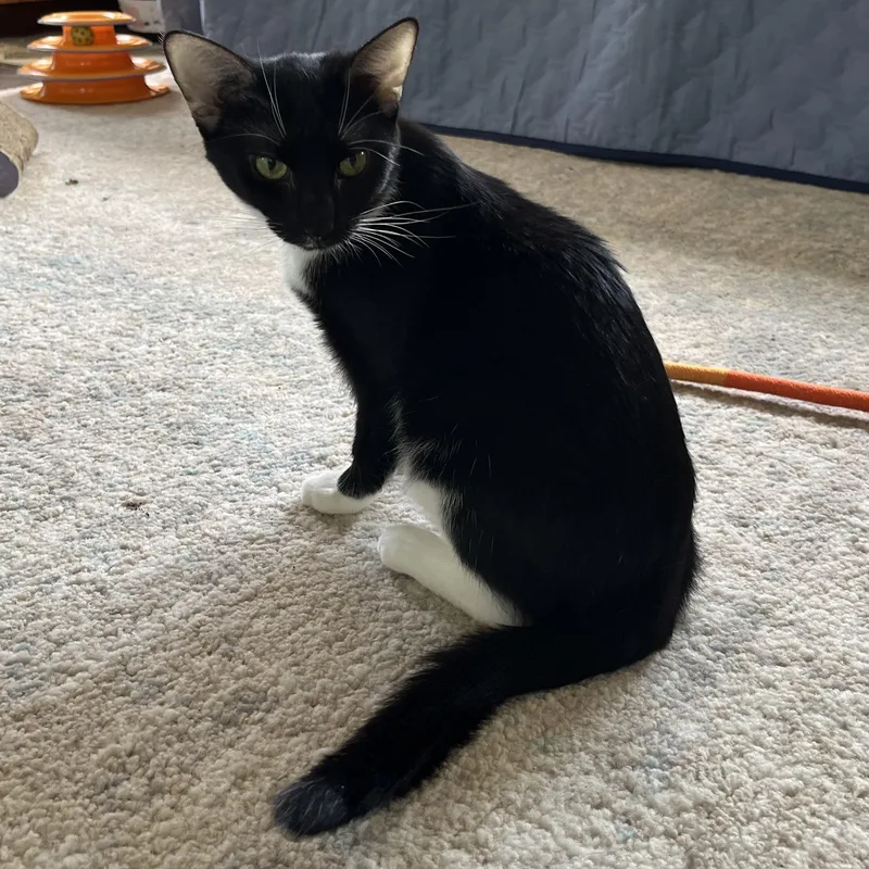 Quinlyn  Little Lovebug thumbnail 4