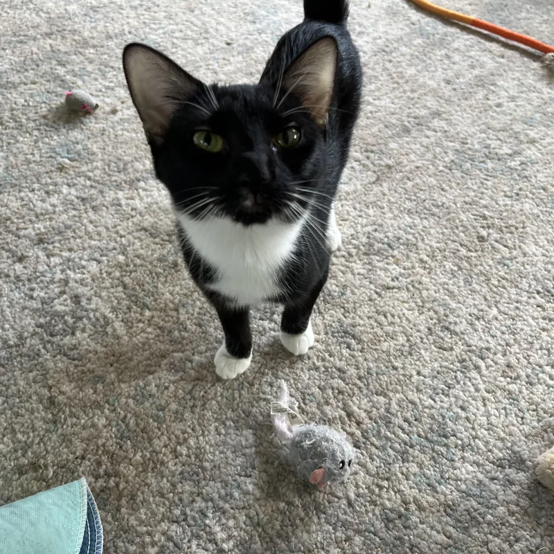 Quinlyn  Little Lovebug thumbnail 5