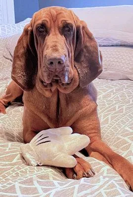 Sweetie Pie thumbnail 4