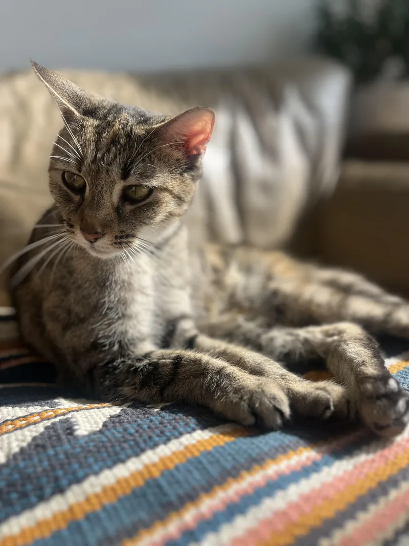 Margarita thumbnail 2