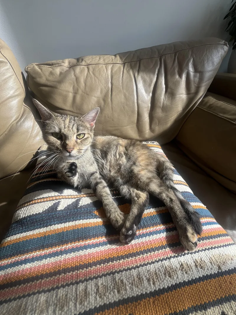 Margarita thumbnail 3