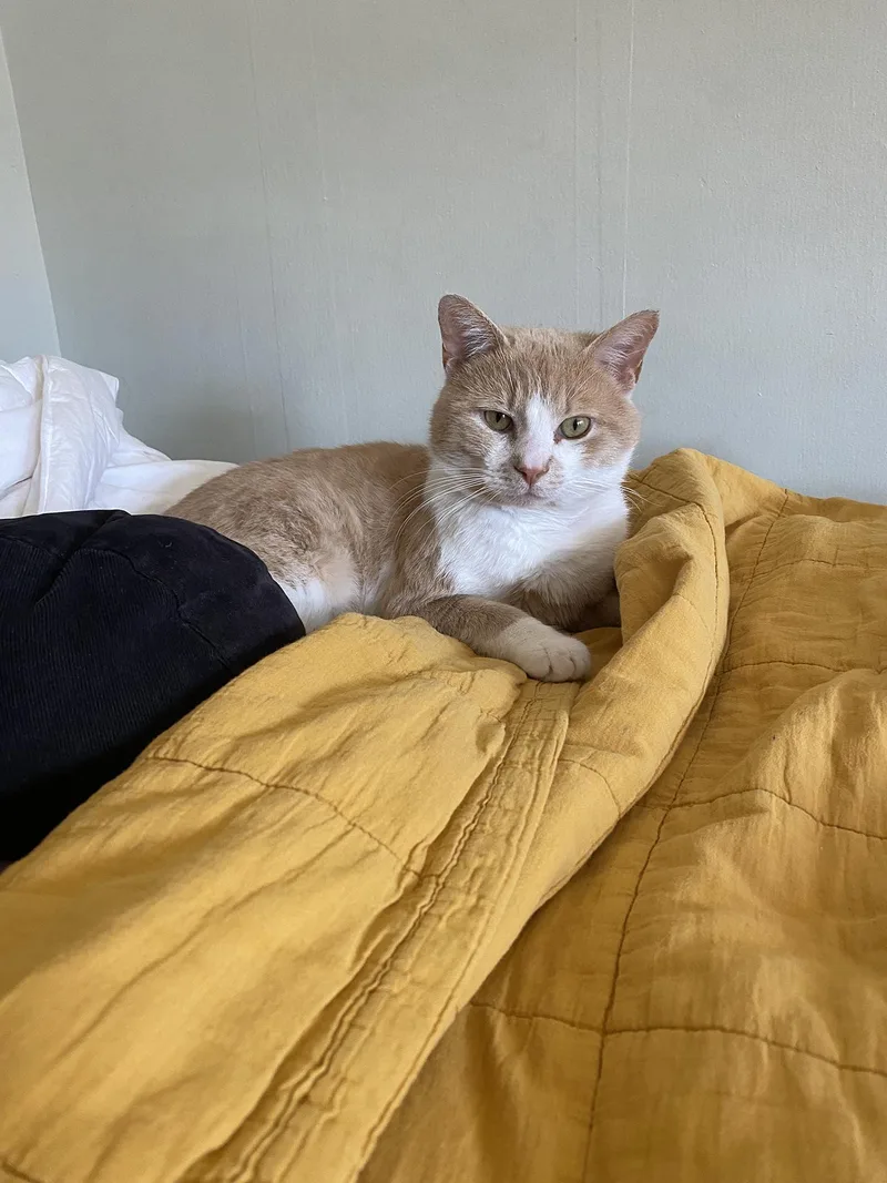 Sherbs Malone thumbnail 2