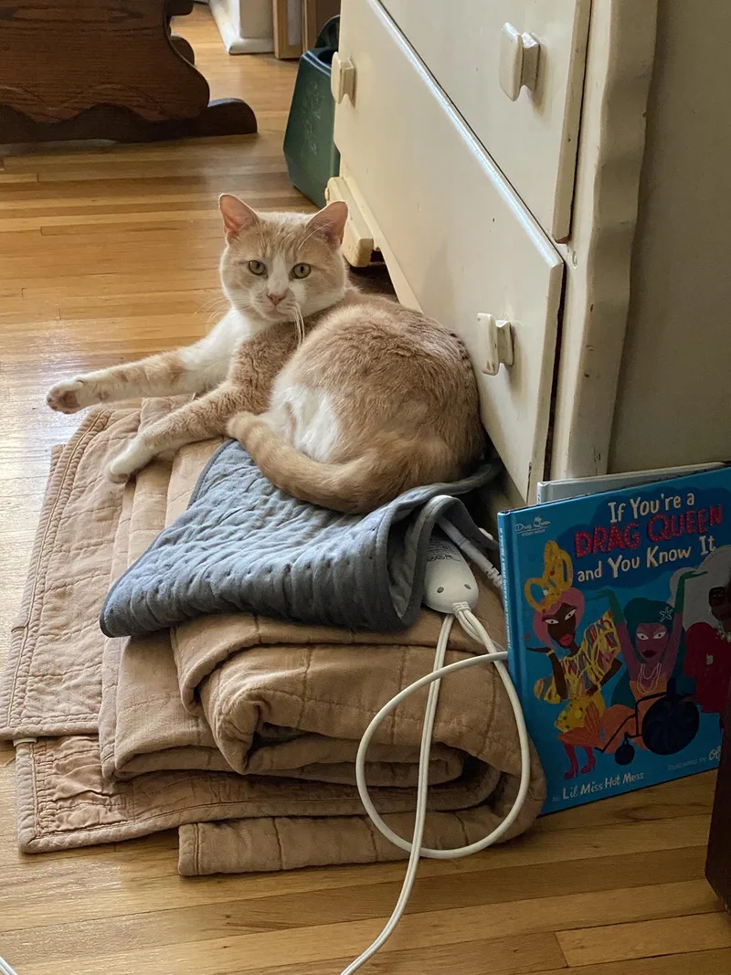 Sherbs Malone thumbnail 3