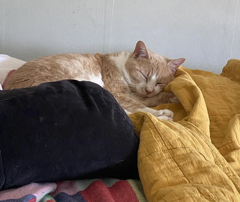 Sherbs Malone thumbnail 4