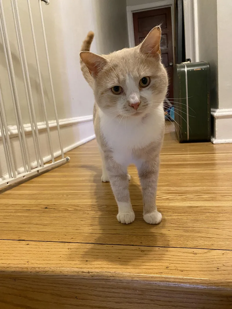 Sherbs Malone thumbnail 5