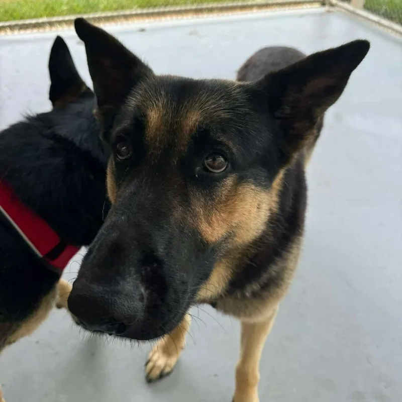 Jax