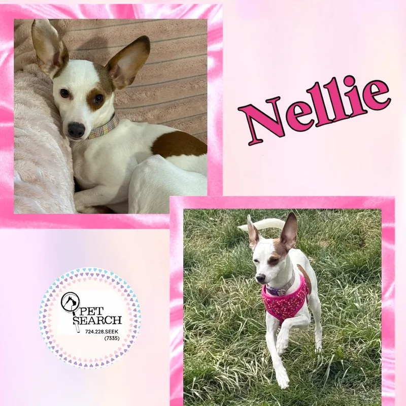 Nellie