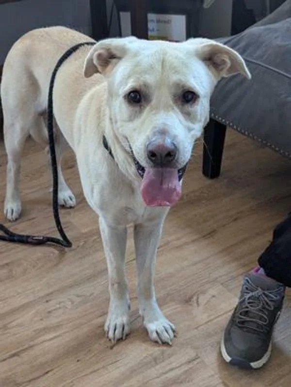 Stir Fry thumbnail 4