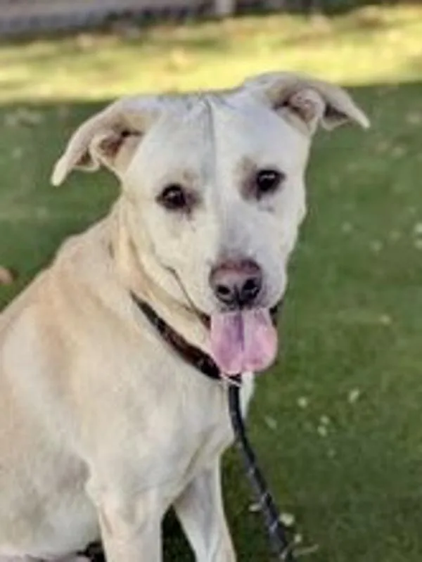 Stir Fry thumbnail 5