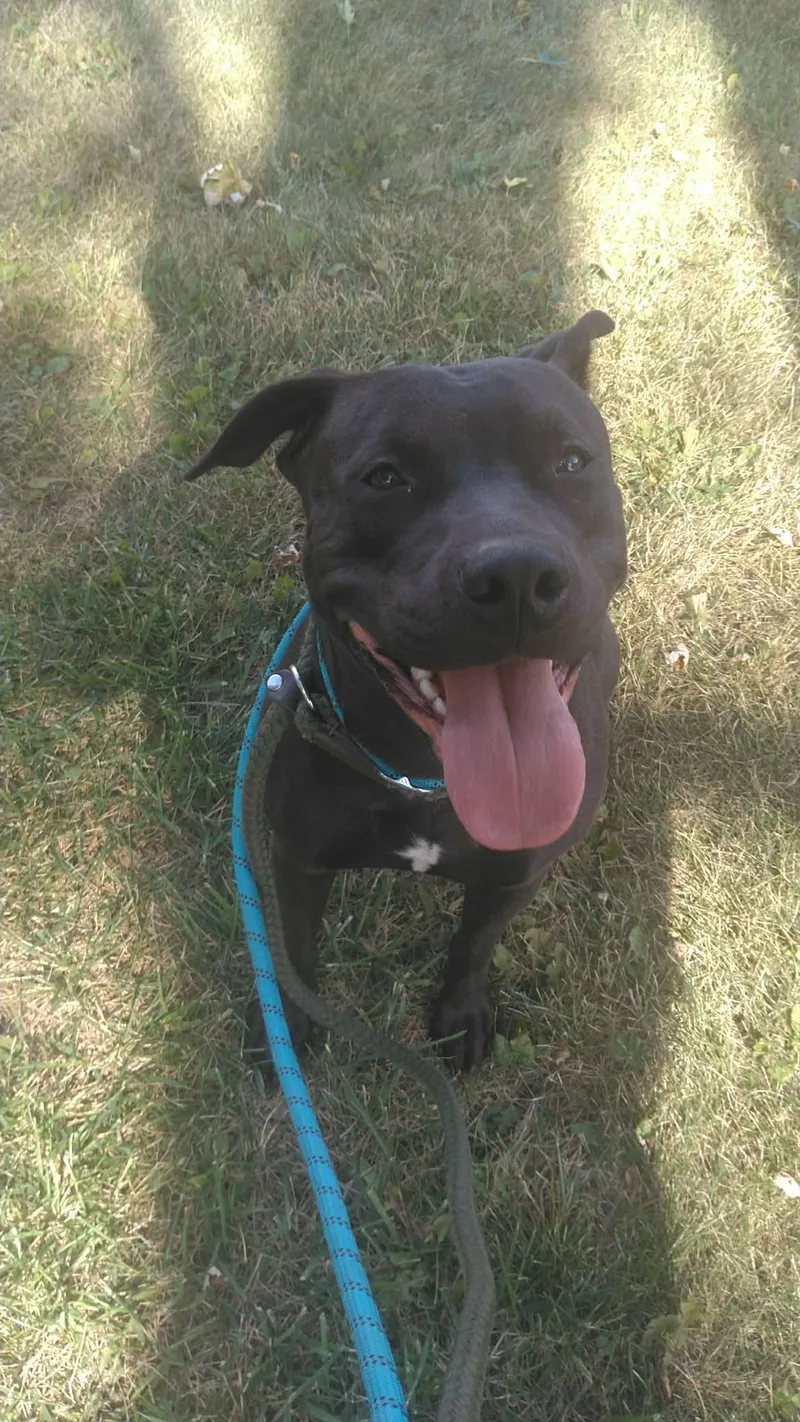 Sugar Mama thumbnail 2