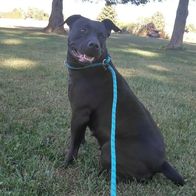 Sugar Mama thumbnail 3