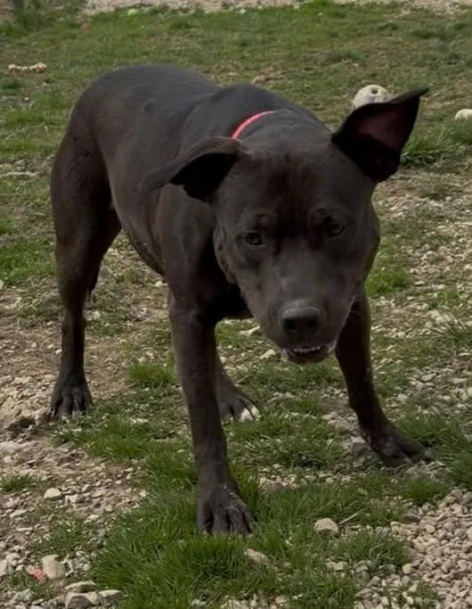 Sugar Mama thumbnail 4