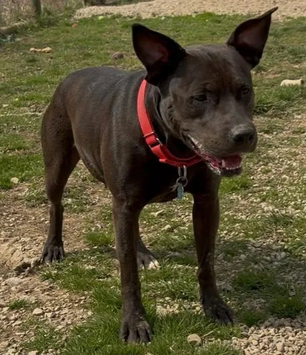 Sugar Mama thumbnail 6