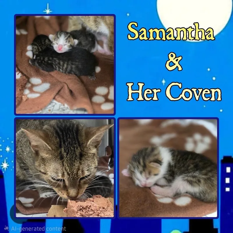 Samantha thumbnail 3