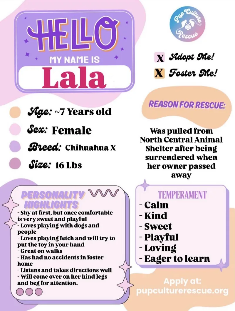 Lala thumbnail 4