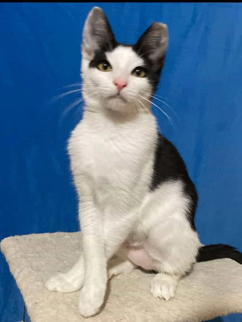 Linda & Benji thumbnail 3