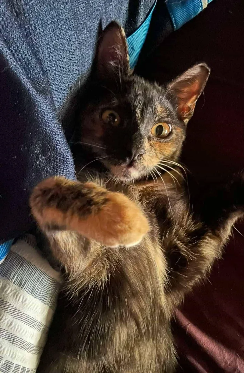 Linda & Benji thumbnail 6