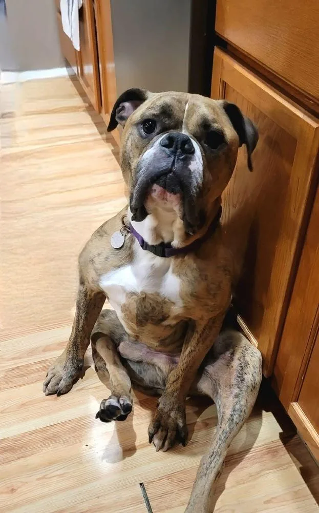 Rolly Polly thumbnail 3