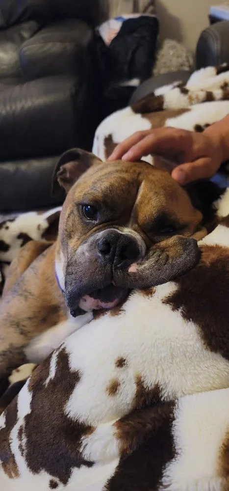 Rolly Polly thumbnail 5