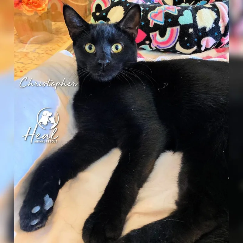 Christopher thumbnail 2