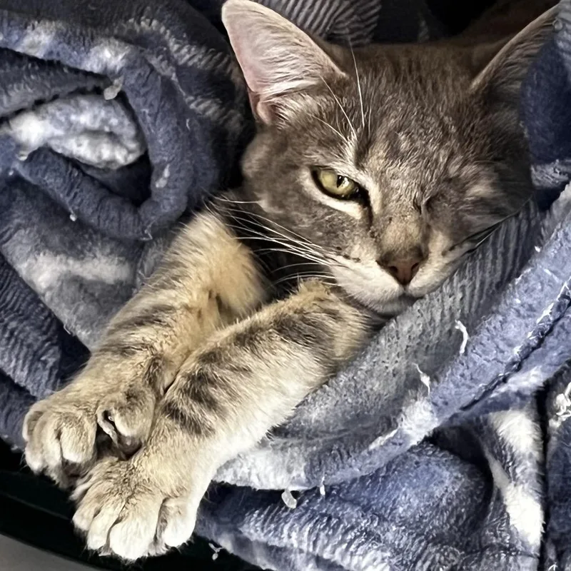 Rhiannon thumbnail 2