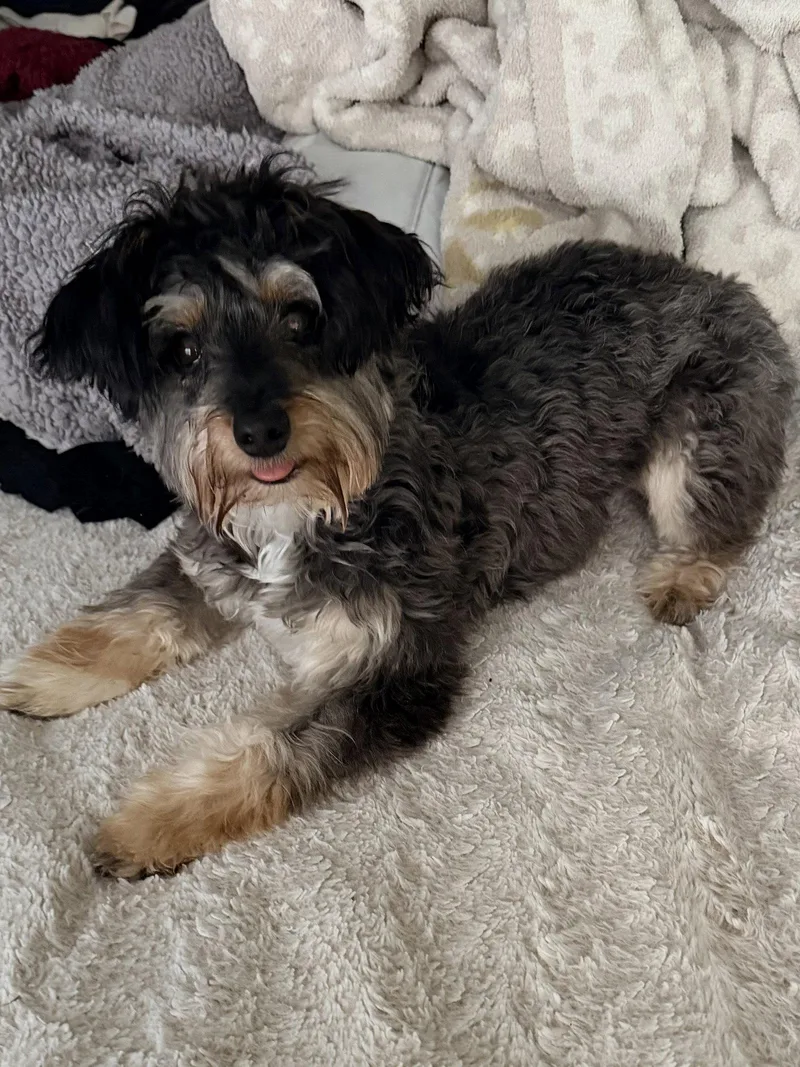Bella