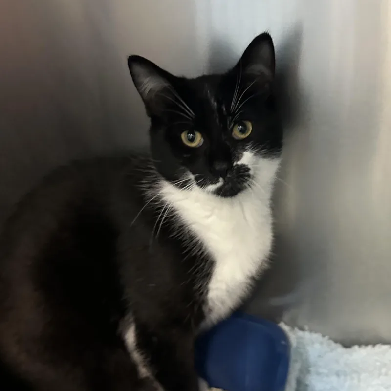 Mowgli & Finn thumbnail 2