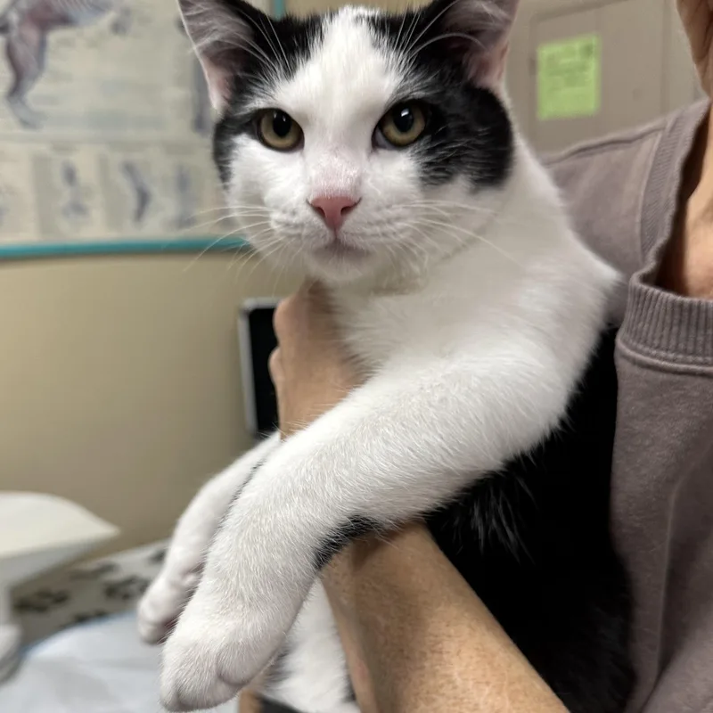 Mowgli & Finn thumbnail 5