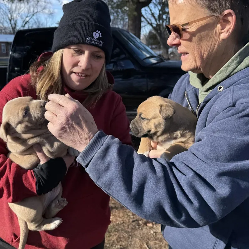 Honeydew thumbnail 2